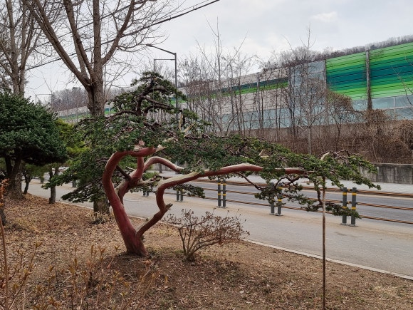 은하조경 이미지