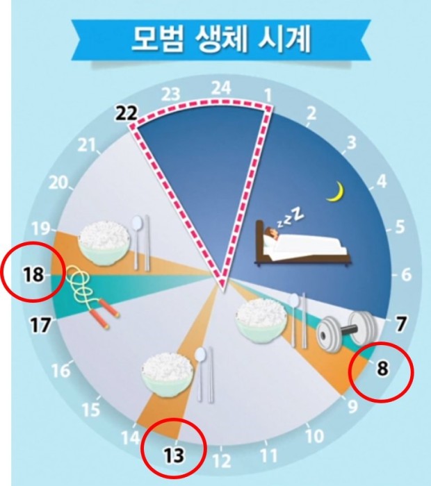 유얼스 이미지