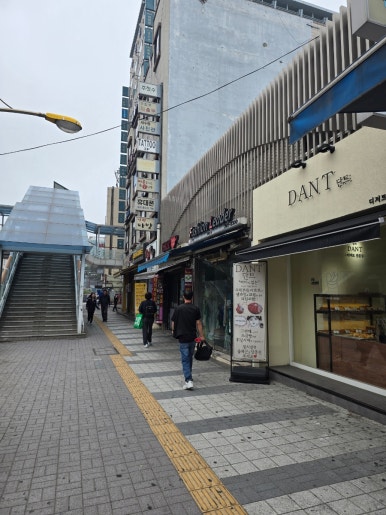 단트(DANT) 이미지