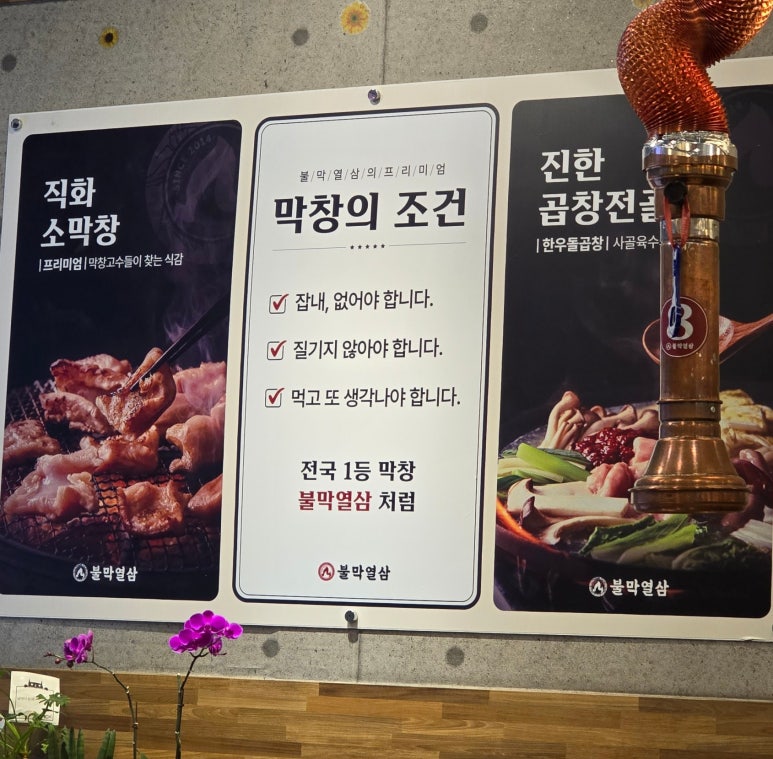 불막열삼회원점 이미지