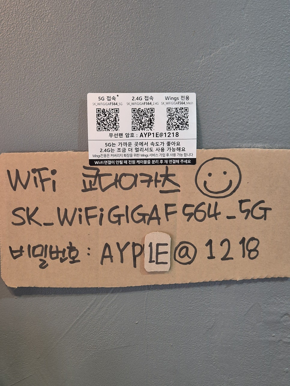 쿄다이카츠 이미지