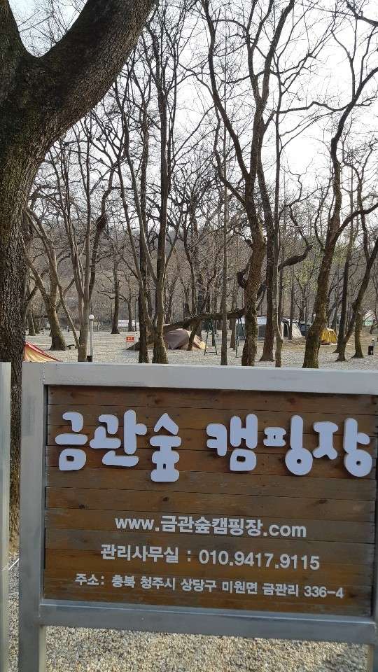 금관숲캠핑장 이미지