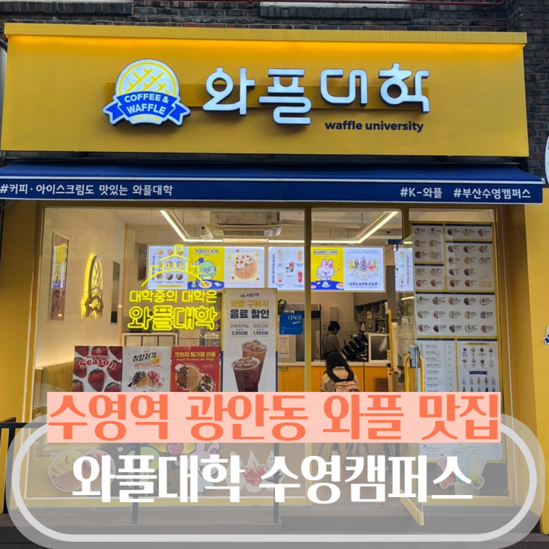 와플대학부산수영캠퍼스 이미지