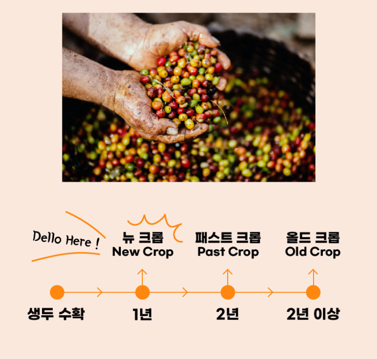 델로 커피컴퍼니 이미지