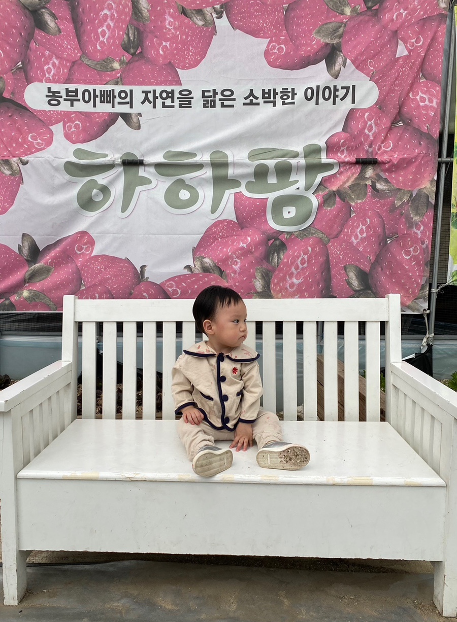귀여농장 이미지