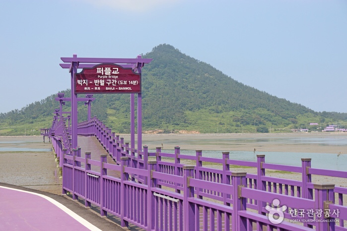 천사섬신안 남하부엌 이미지