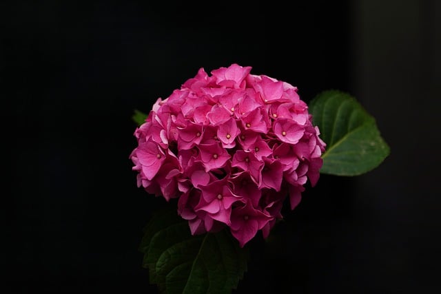 김용해의 소문난순대국집 이미지