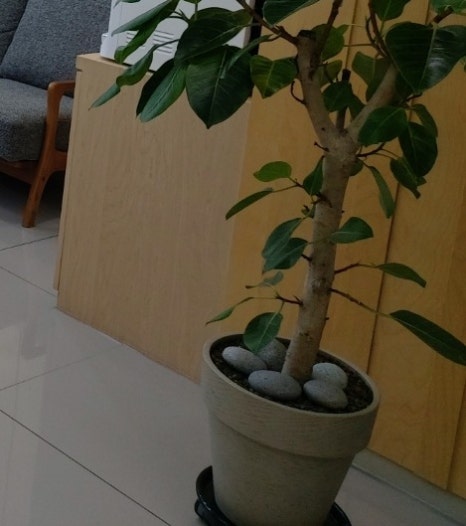 해아림두뇌클리닉 이미지