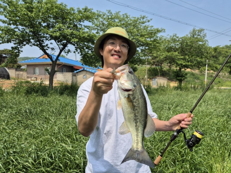 리미티드피시 이미지