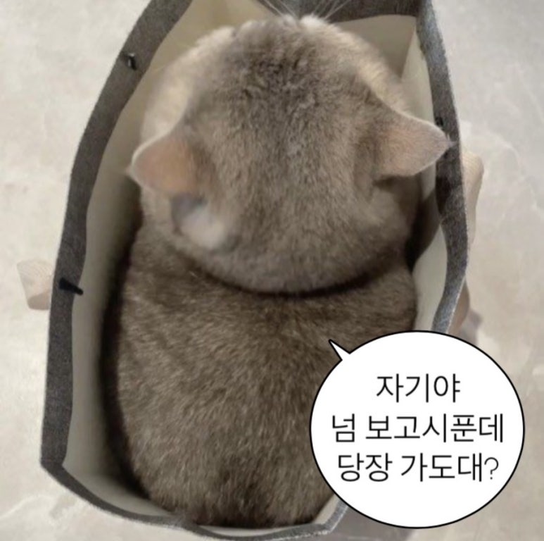 밀밀 이미지