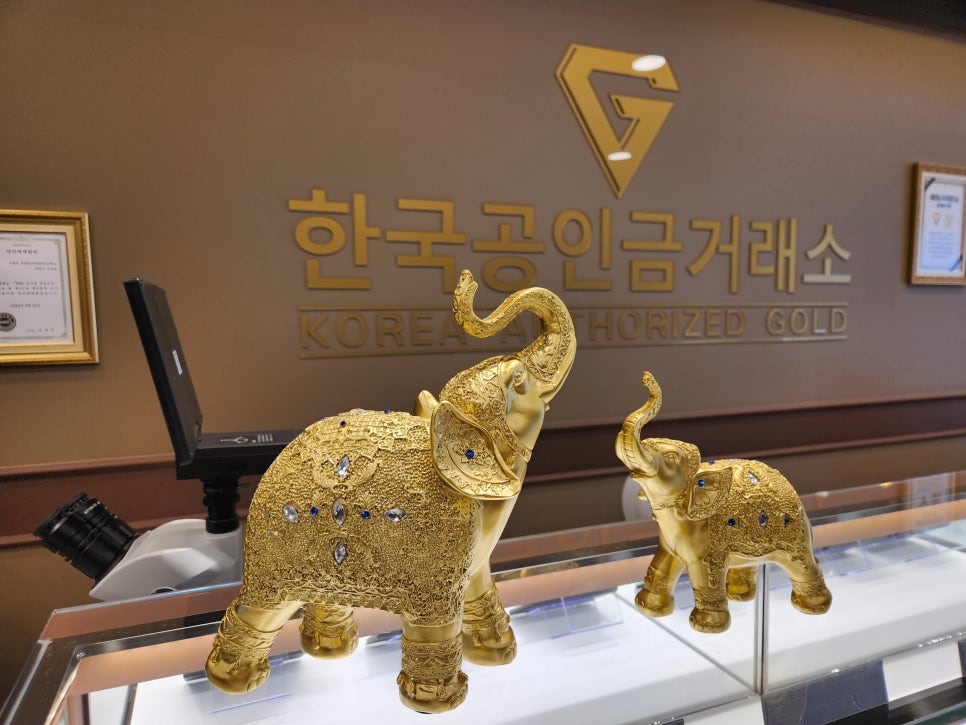 파크랜드목포 이미지