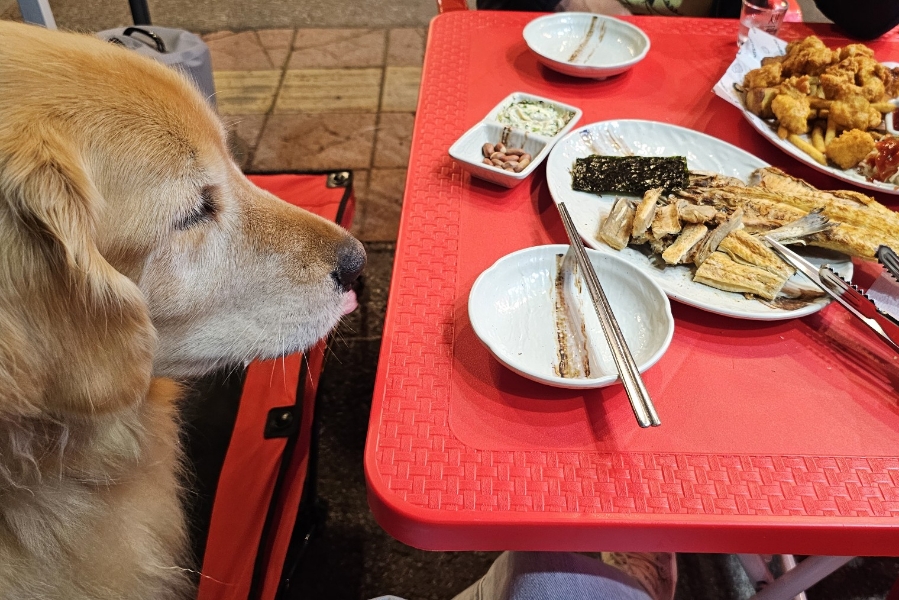 역전할머니맥주 오포점 이미지