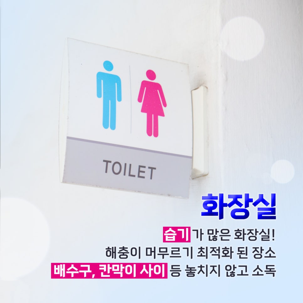 케어원 이미지