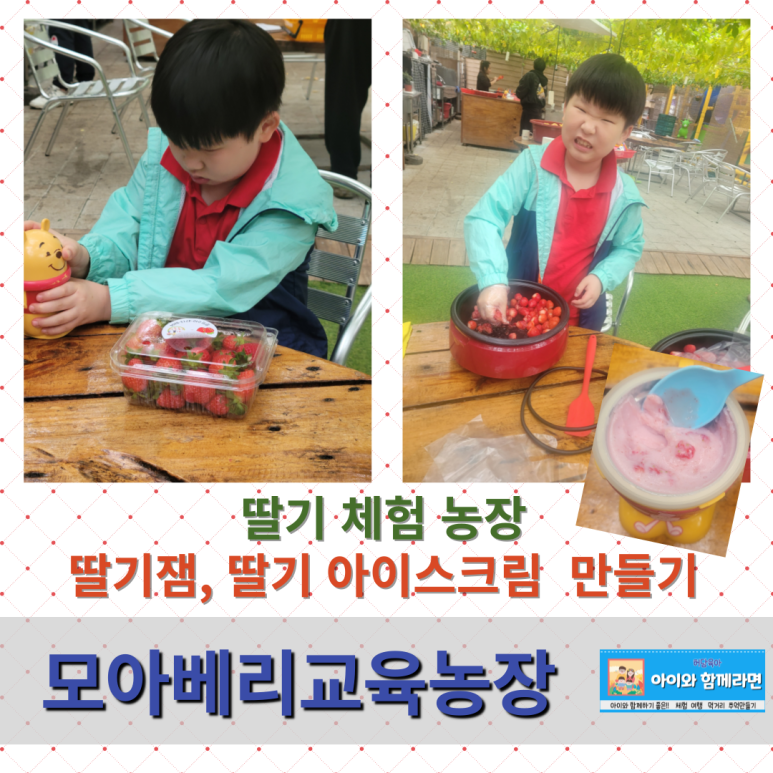 모아베리교육농장 이미지