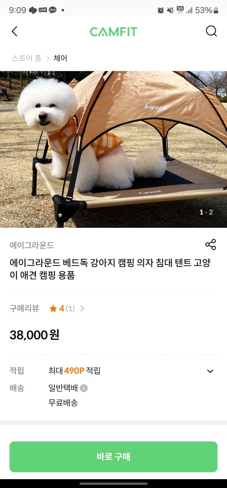 알래즈 이미지