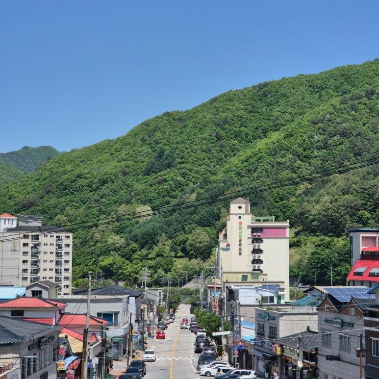 퍼시먼관광호텔 이미지