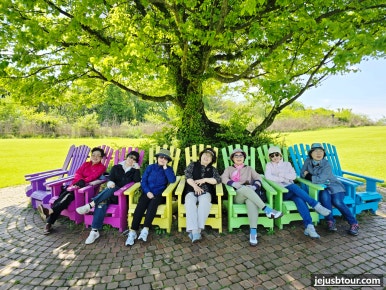 제주숨비투어 이미지