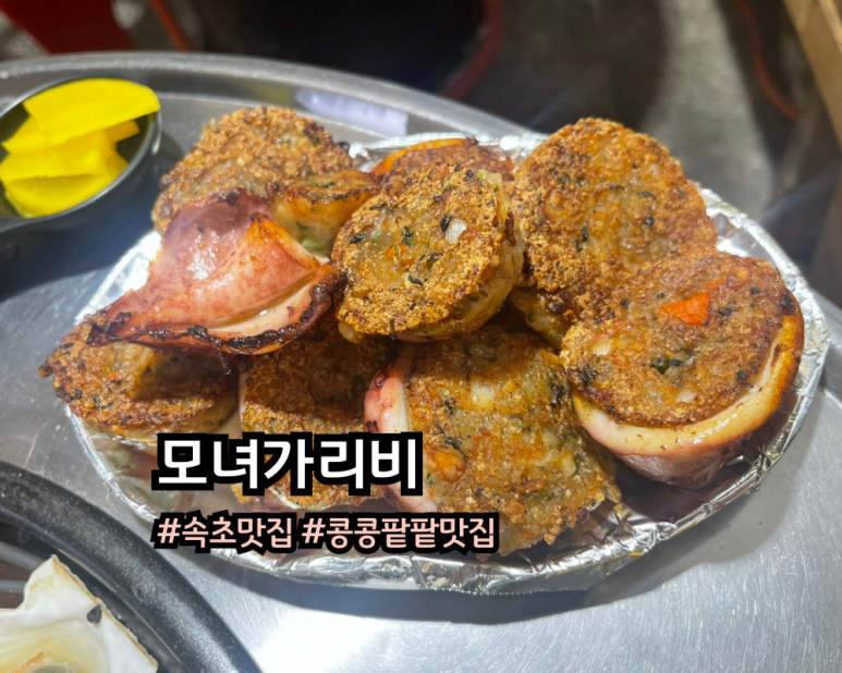 모자가리비 이미지