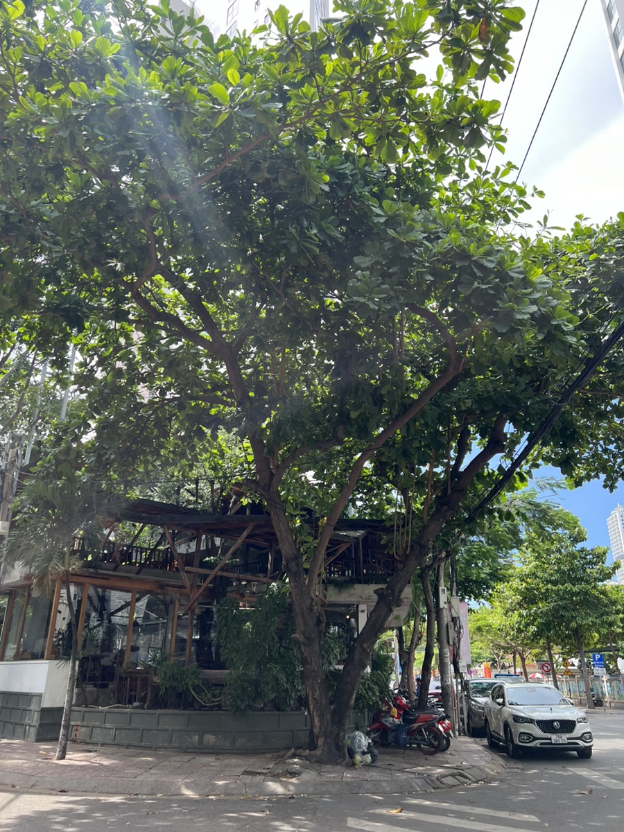 cafe.528(카페.528) 이미지