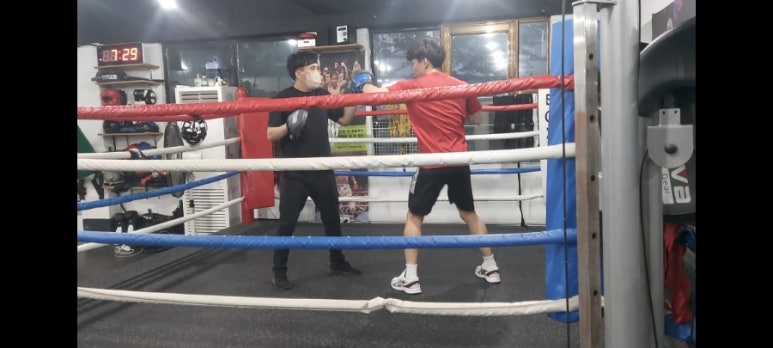 와룡복싱 이미지