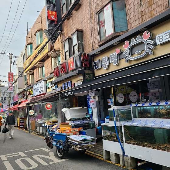 솔나무떡집 이미지