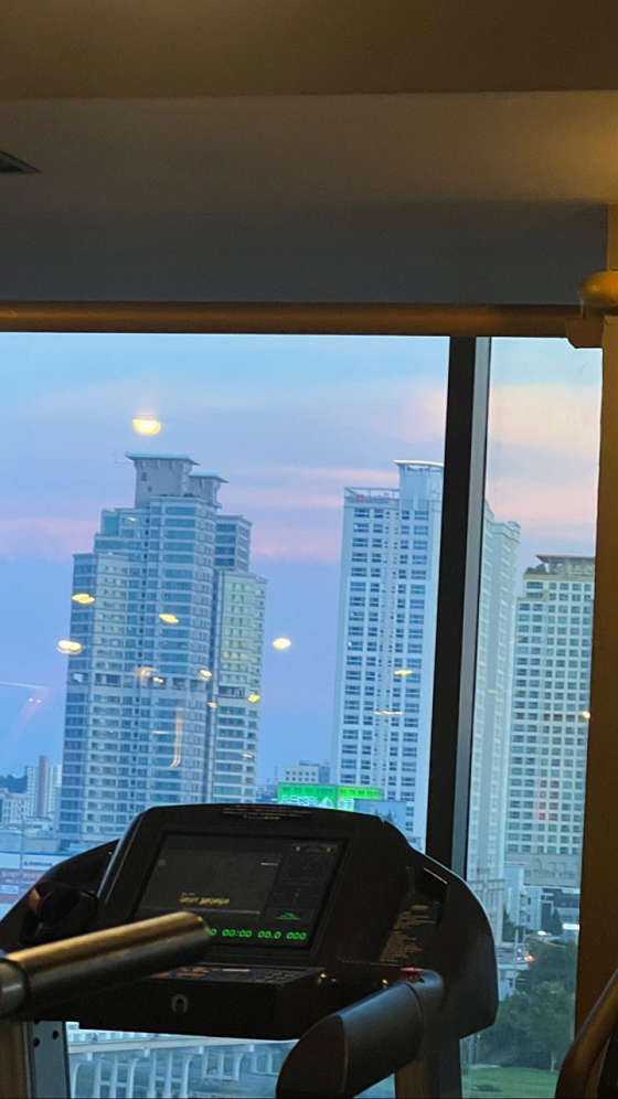와우휘트니스 이미지