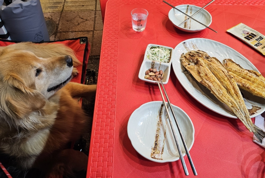 역전할머니맥주 오포점 이미지