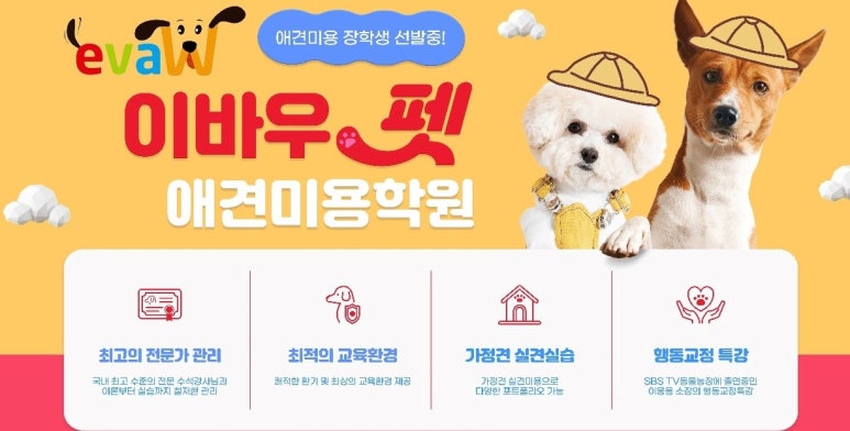 여기펫 이미지