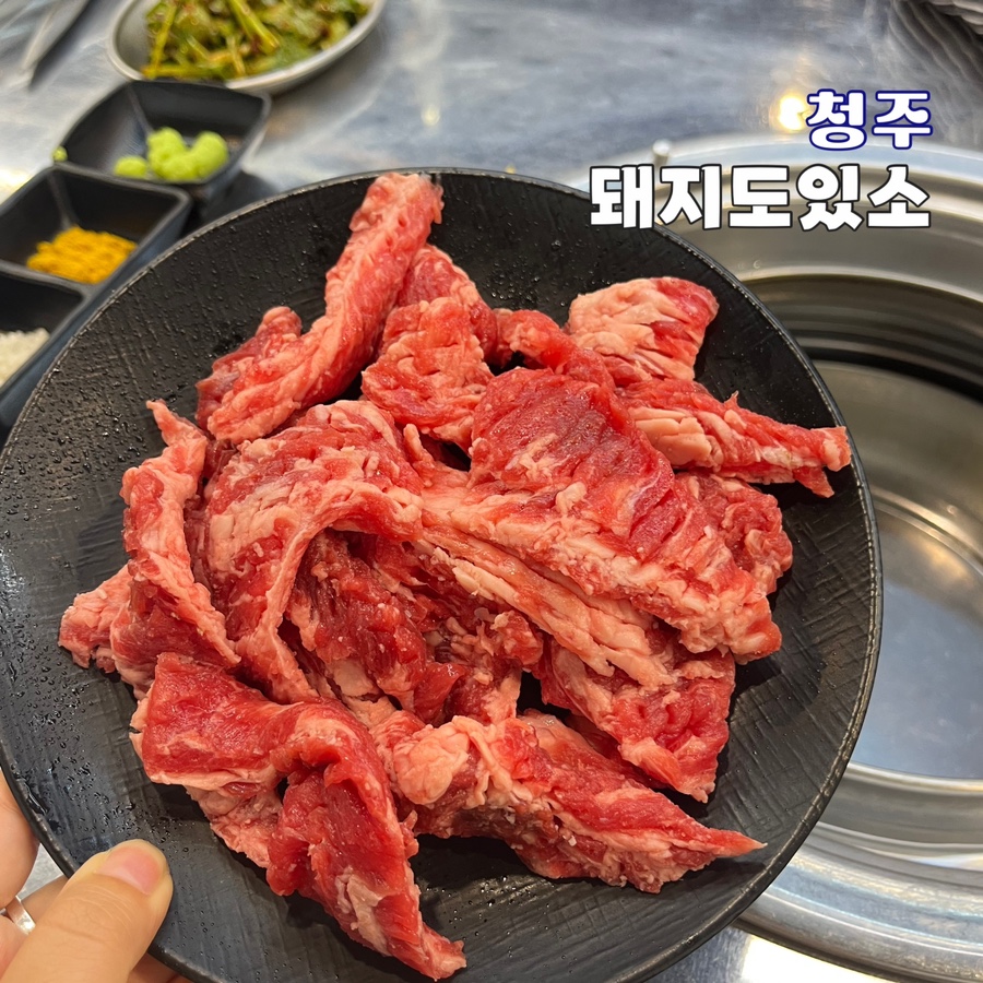 돼지도있소 이미지
