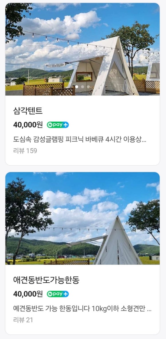 논논캠프 이미지