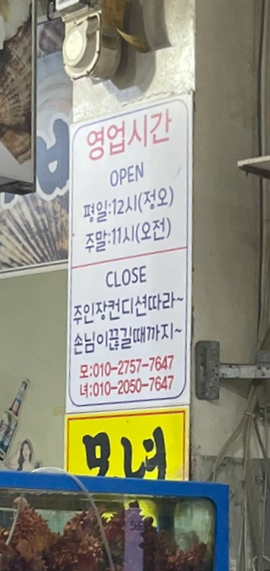 모자가리비 이미지