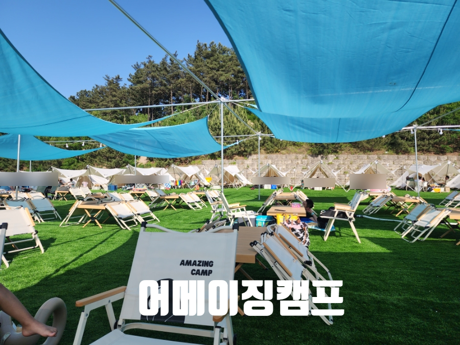 어메이징캠프 포항 이미지