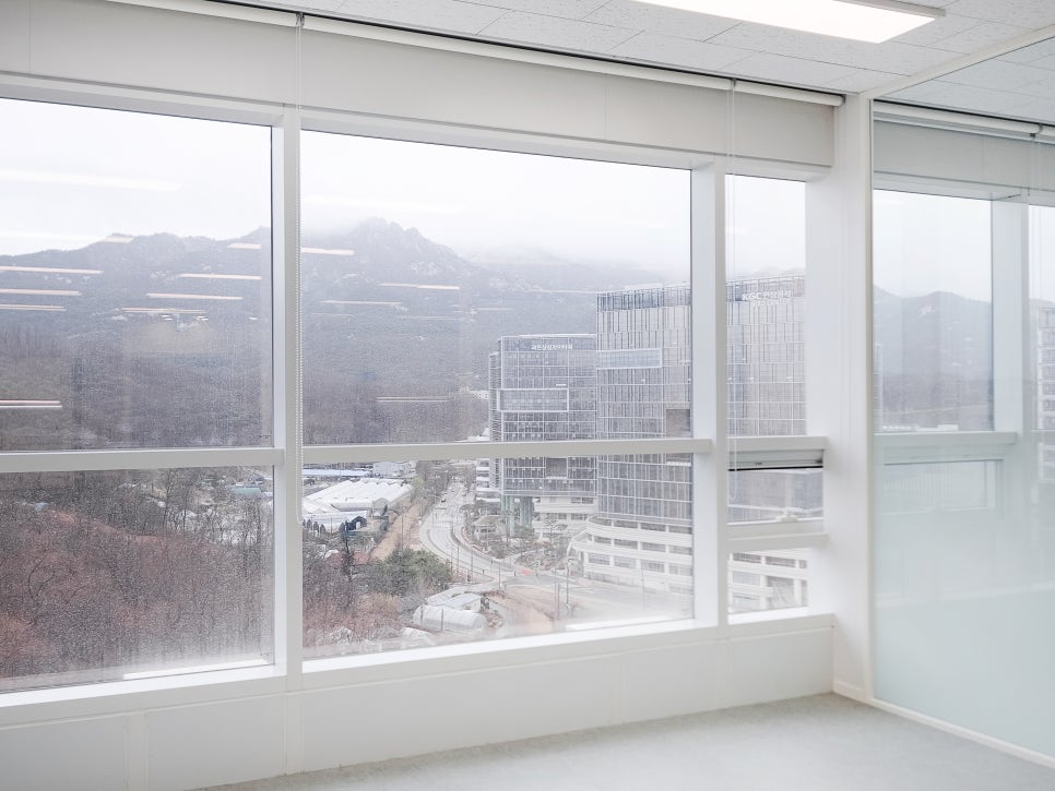 디테크 이미지