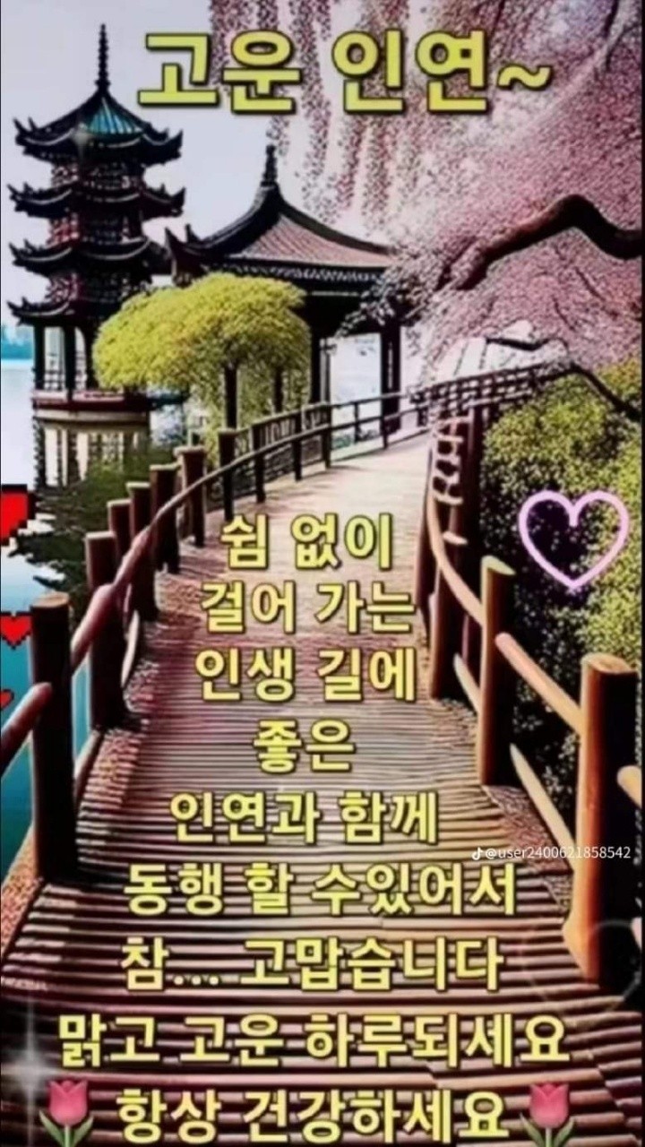 낭만포차한식점심부페 이미지