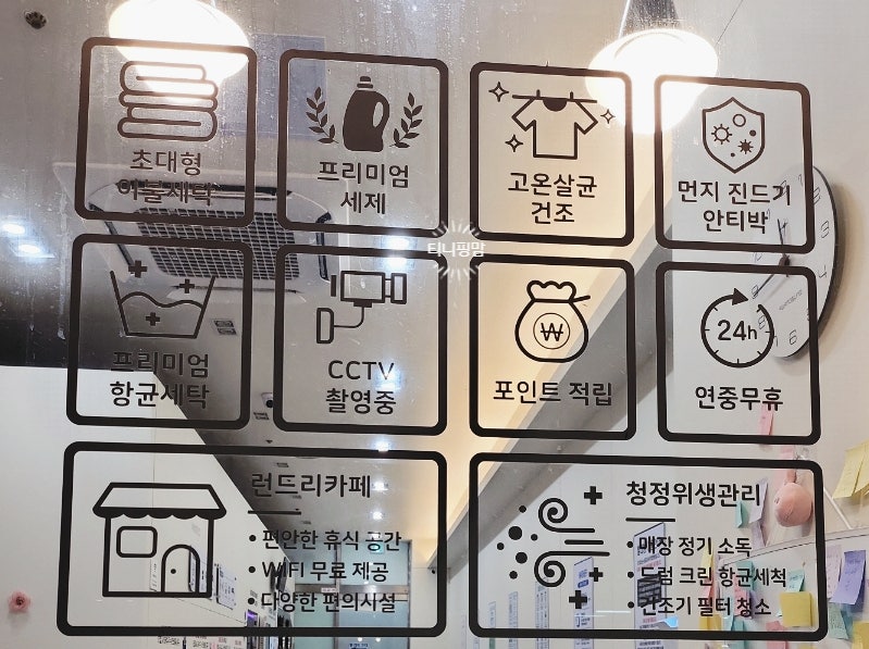에코런드렛빨래방&아이스크림고양시 이미지