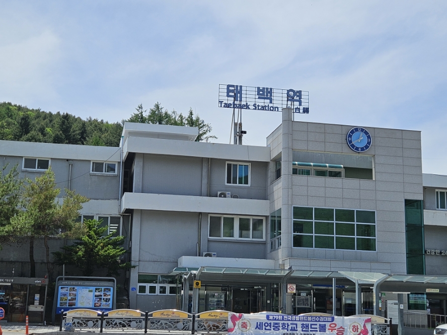태서초등학교 이미지