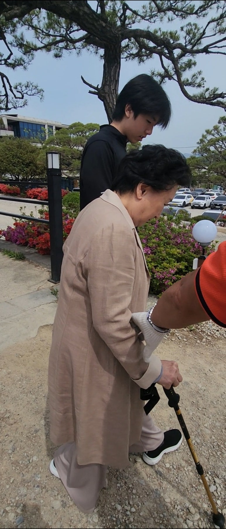 호야소고기 이미지