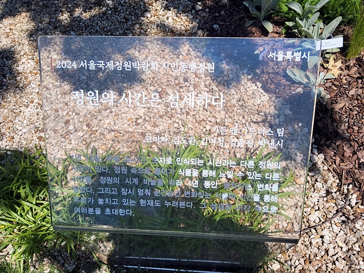 바늘정원 이미지