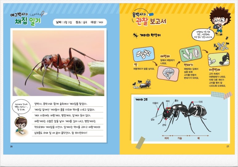 에그코리아 이미지