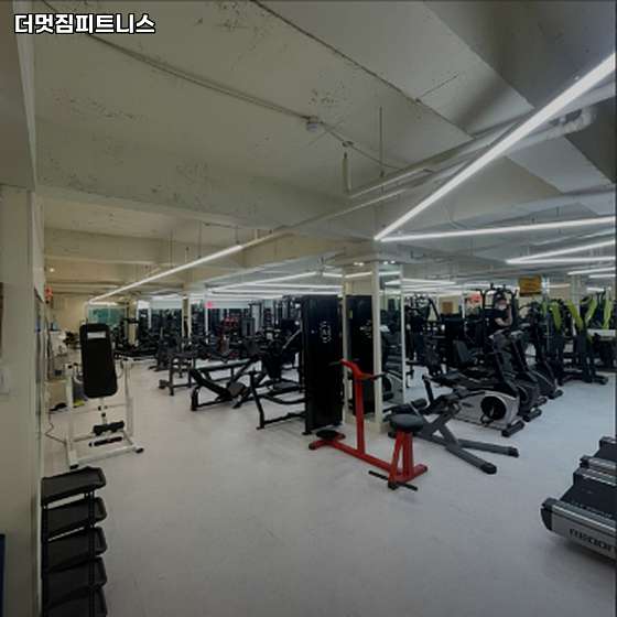 더멋짐피트니스 이미지