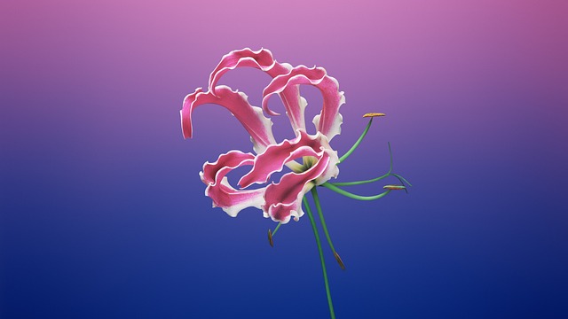 김용해의 소문난순대국집 이미지
