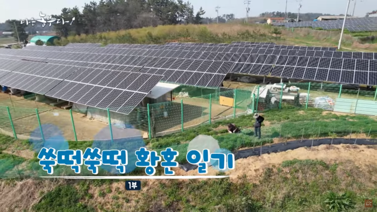 베품떡 이미지