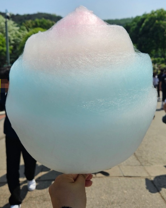 먹거리(별난) 이미지