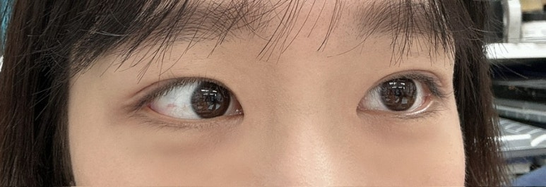 메챠쿠차 이미지