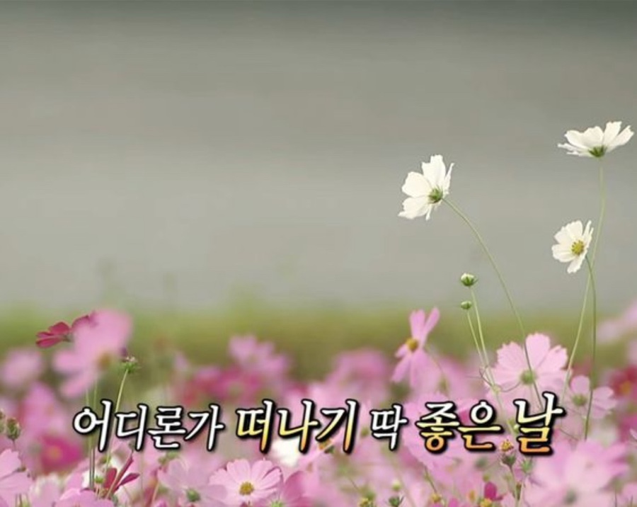 도토 이미지