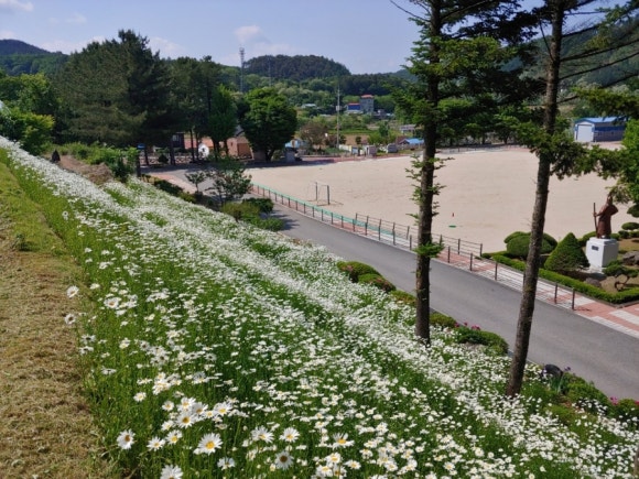 두촌초등학교 이미지