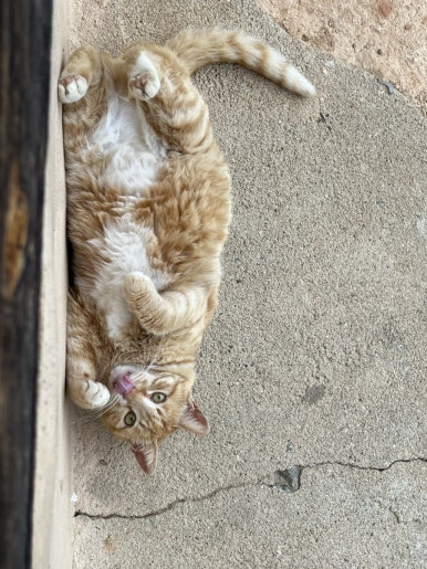 지례식당 이미지
