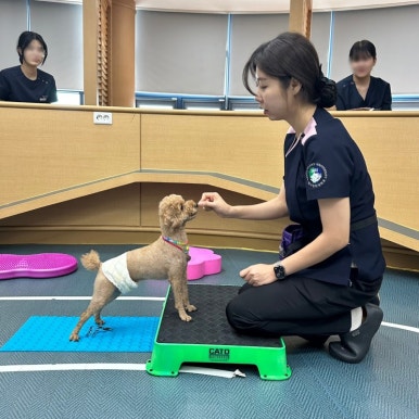 구미펫직업훈련학원 이미지