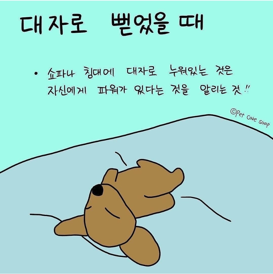 서초면옥 이미지