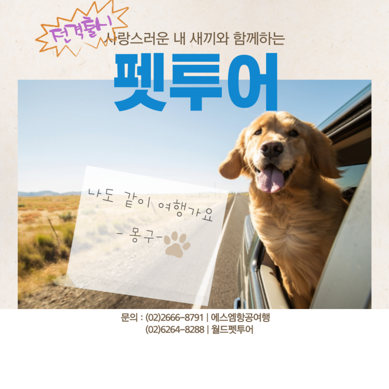 에스엠투어주 이미지
